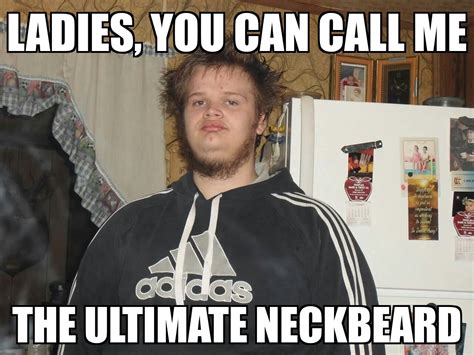 Neckbeard pointing meme. A close cousin of the neckbeard, the "Nice Guy," drew mockery on Reddit and Tumblr, further refining the shared stereotype of an inept, unattractive manchild who imagines himself the height of gentlemanly sophistication and wit — a common trope has him tipping his fedora to a woman and saying "M'lady" — but harbors deep-seated ... 