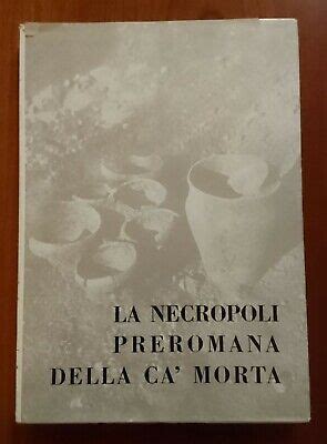 Necropoli preromana della ca' morta (scavi 1955 1965). - Cisco catalyst 2960 switch software configuration guide.