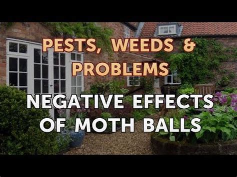 Negative Effects of Moth Balls HomeSteady