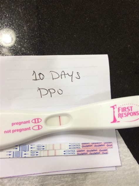 Negative test 10 dpo. Based on pregnancy test data recorded by our members using the cycle tracking tool. 79.4% of pregnant women got a positive result on 11 days past ovulation. The most common positive result on 11 days past ovulation was faint positive. 20.6% of pregnant women got a false negative result. This is about 1 in 4.9. 