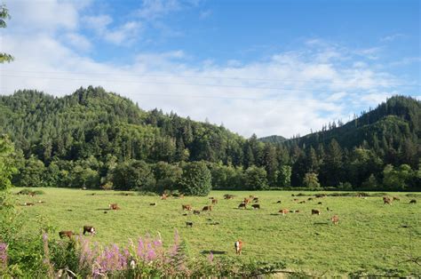 Nehalem River Ranch