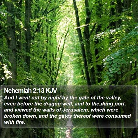 Nehemiah 2:13 - Bible Verse Meaning and Commentary - Bible Study Tools