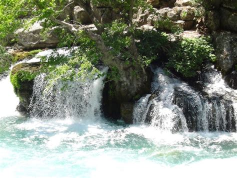 codini.rgarabwor.edu.pl. 