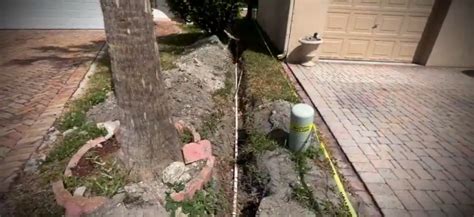 Neighbor’s tree causes water leak