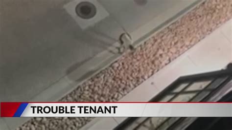 Neighbors on edge after knife-wielding tenant is allowed to stay