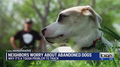 Neighbors worry about abandoned dogs outside Austin city limits