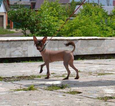 🍆 Nejnaja Onlyfans Leaked [PPV]