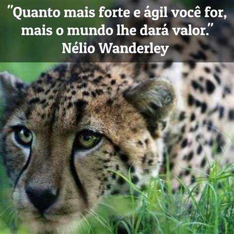 Nelio Wanderley’s Post - LinkedIn