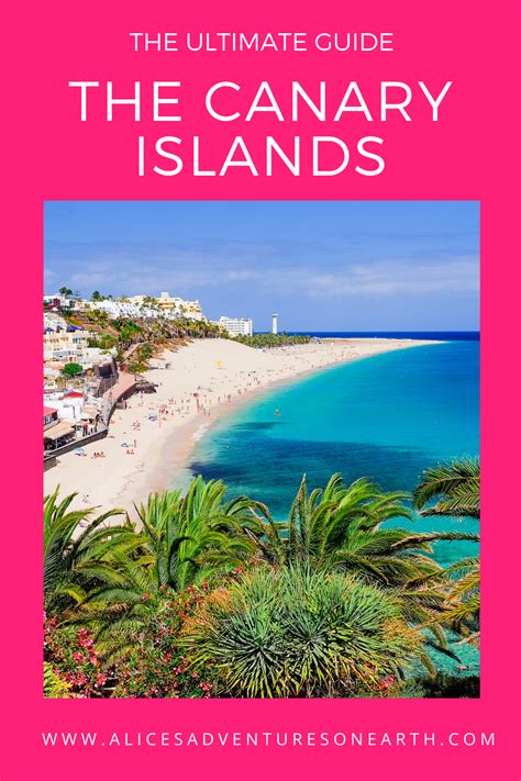 Nelles guide to the canary islands. - Handbook of enology 2 volume set.