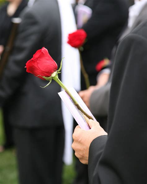 Nelson funeral homes.  Offering Nelson & Sons Funeral Home Locations Nelson & Sons ...