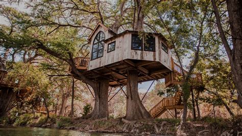Nelson treehouse. Working on this futuristic, multi-purpose treehouse was one of the highlights of the year for Nelson Treehouse and Supply. Because Zac wanted the treehouse to have a building life of 100+ years, Pete knew the design would have to incorporate metal in order to maximize sturdiness. The unique shape of the treehouse was inspired by the position of ... 