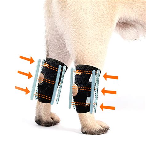 NeoAlly Dog Leg Brace [Short Version] for Small or Short Legs …