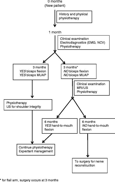 Neonatal Brachial Plexus Palsies Treatment & Management: Rehabilitation Program, Medical Issues/Complication…