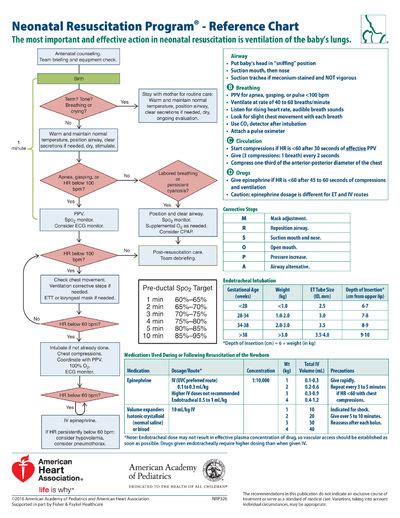 Neonatal Resuscitation Program Reference Chart Online Shopping