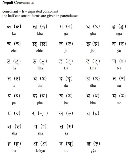 Nepali Language Wikipedia
