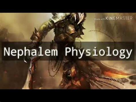 Nephalem physiology. Things To Know About Nephalem physiology. 