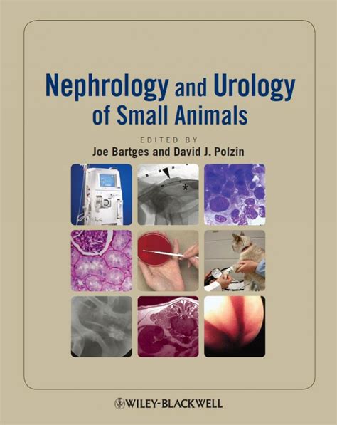 Read Nephrology And Urology Of Small Animals By Joe Bartges