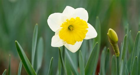 Nergis Halı ve Koltuk Yıkama