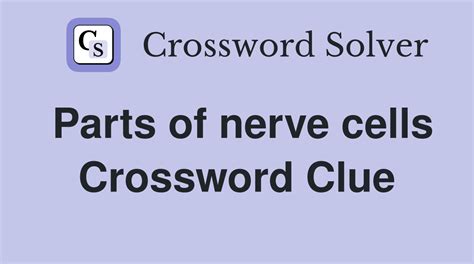 Nerve Cells Crossword Clue