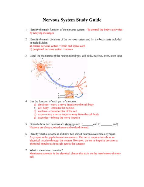 Nervous System Case Study Questions Flashcards Quizlet