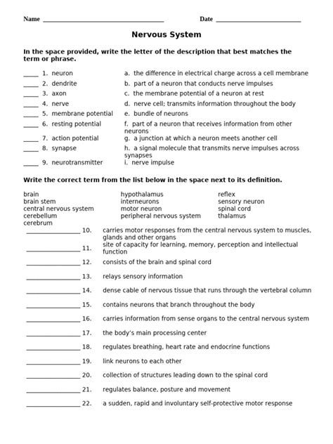 Nervous system reinforcement worksheet answers.  impulse c.  Match the de...
