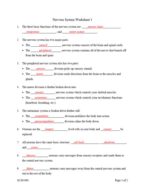 Nervous system worksheet answers key.  All neurons have the same basic structure: __cell bod...