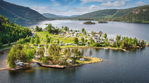 Neset Halı ve Koltuk Yıkama