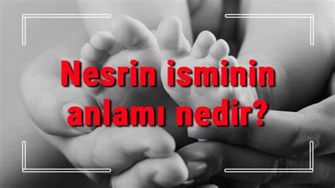 Nesrin ne demek. 