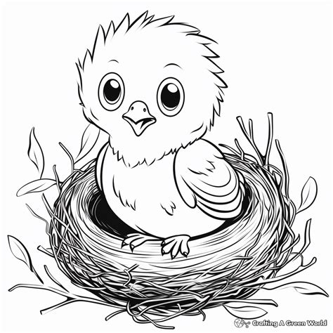 Nest Coloring Sheet Coloring Pages