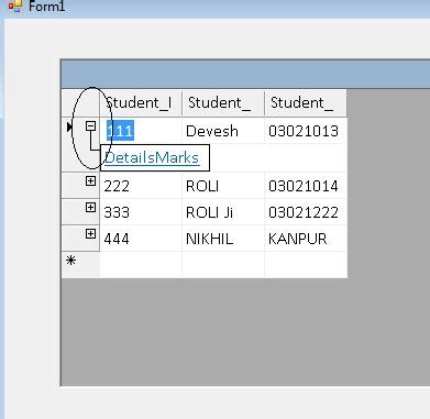 Nested DataGrid in C Window Forms