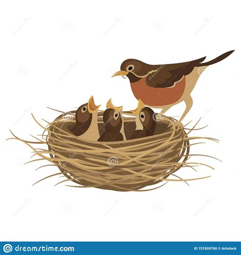 Nesting Cartoon - Etsy UK