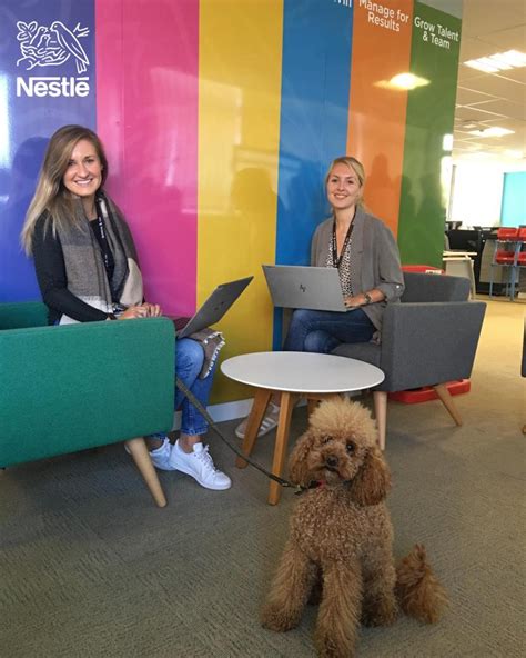 Nestlé en LinkedIn: #wearenestlé #proudtoplaymypart #nbslisbon …