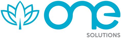 Net One Solutions