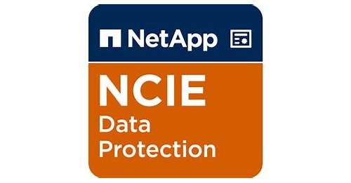 th?w=500&q=NetApp%20Certified%20Implementation%20Engineer,%20Data%20Protection