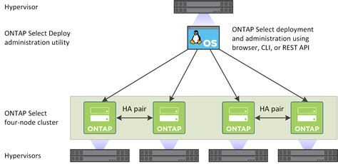 NetApp ONTAP Select - The CloudStack Company