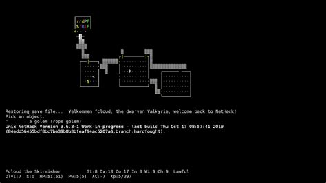 NetHack 3.6.3: Known Bugs