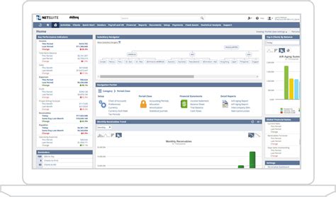 NetSuite Financial Management