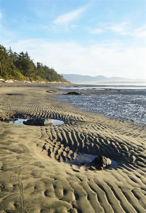 On the shore of Netarts Bay, the town is separated from the Pacific Ocean by a long, club-shaped stretch of forested sand called Netarts Spit. This was once the earliest settlement site of the Tillamook Indians. Inside the bay, at low tide, many search for different varieties of clam, and a nearby marina offers boat and crab pot rentals.. 