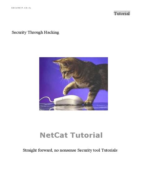 Netcat tutorial pdf.  It is designed to be a reliable "back-end" to...