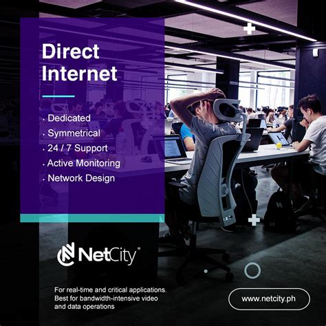 Netcity Timoho