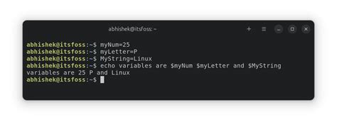 Netctl search domain.  The files consist of variable definitions following the bash shell synta...