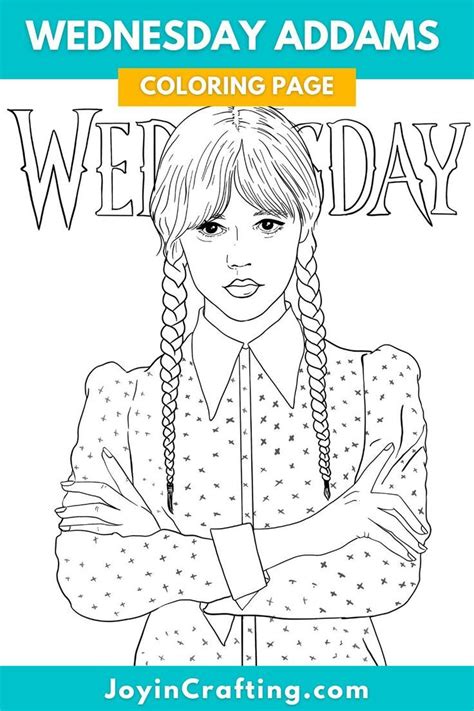 Adult Coloring Book Set