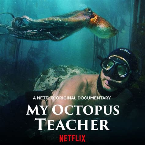 Netflix nature documentaries. Documentary movies have long been recognized as powerful tools for shedding light on important social issues and sparking conversations that lead to positive change. One of the key... 