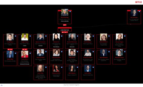 Netflix organizational structure.  Its relatively flat hierarchy encourages adapta...