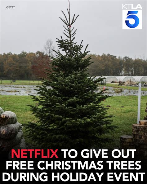 Netflix to give out free Christmas trees during holiday event