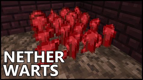 Nether Wart in Minecraft 