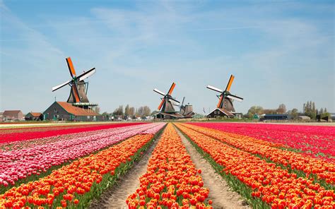 Netherlands: Country