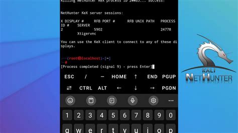 Nethunter process completed signal 9 press enter.  Whenever I start GUI in PRoot ubuntu,...
