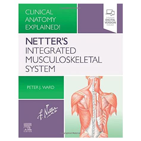 Netter Presenter Get Started Guide