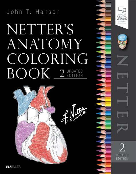 Netter S Anatomy Coloring Book Updated Edition Net